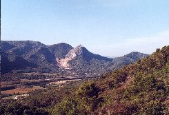 Le Candelon...martyr!