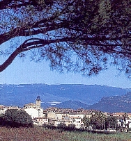 Le Muy, vue d'ensemble