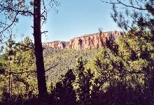 L'église des païens