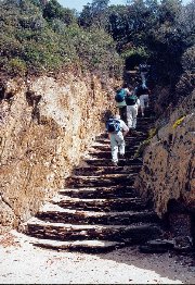 Je suis taillé pour