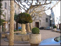 Sollies-Toucas : vue sur l'avenue Gambetta